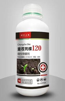 种植中药材三七干尖卷叶防治用药方法厂家