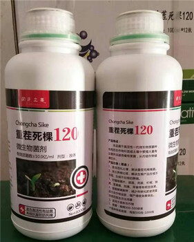 河北苍术叶片褐色枯萎死苗治疗用药管控方法