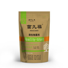 東北水稻苗床青枯立枯病害防治用藥管理廠家技術(shù)指導(dǎo)服務(wù)圖片