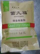 贵州省种植半夏整地土壤杀菌消毒法图片