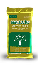 修復(fù)蒼術(shù)土壤重茬惡化破除土壤板結(jié)問題得菌劑圖片
