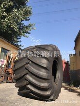 供应664300-25震源车专用轮胎66X43.00-25宽基沙漠防陷轮胎