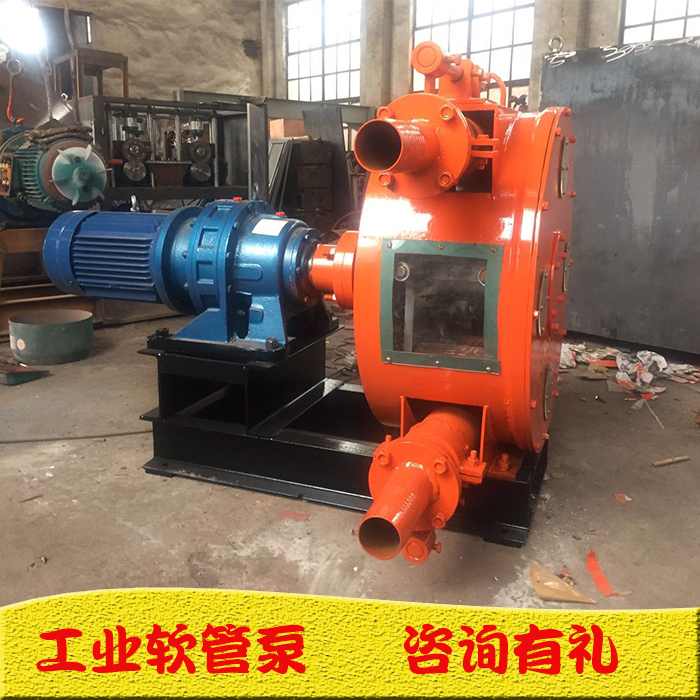 海南省海口市软管蠕动泵工作视频 