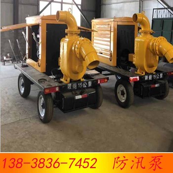 廣西百色市防洪排澇泵特點(diǎn)