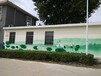 温州海底世界墙画，儿童乐园彩绘多少钱平方,壁画