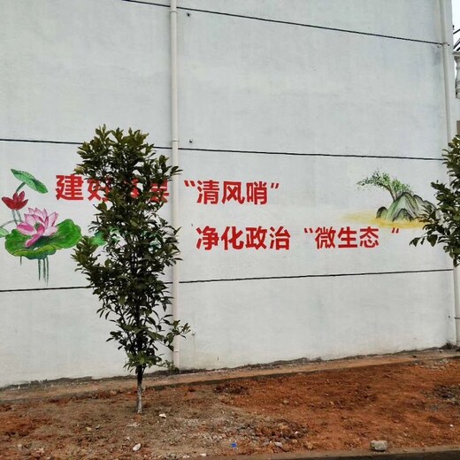 扬州户外新农村墙体彩绘涂鸦价格
