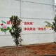 嘉禾农村彩绘墙图