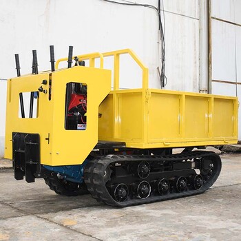 爬山虎柴油履帶拉貨車