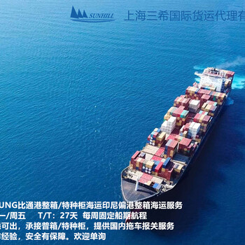 上海到BITUNG比通港整箱海运费印尼偏港东南亚航线订舱