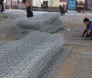 阜阳市石笼拦河坝大型实体厂家-宇利丝网图片