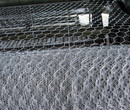 平谷PVC包塑不锈钢网片防腐耐用图片