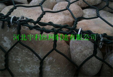 合肥水利石笼网卷耐寒耐热图片3