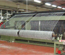 海南州绿滨垫生产基地-宇利丝网图片