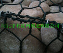 大足PVC包塑加筋石籠網經銷商圖片