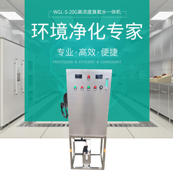 20克氧氣源臭氧發(fā)生器(水機),帶真實圖像,直接連接水管使用,無需復雜安裝