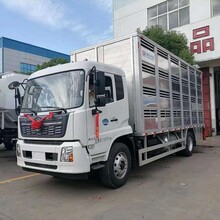 东风D96.8米鸡苗运输车