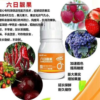 六日靚果微量元素水溶肥