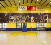 沧州体育运动木地板篮球馆木地板体育场馆枫桦实木厂家直销