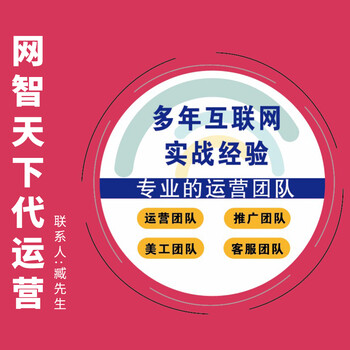 衡水淘宝代运营天猫京东淘宝代运营网店代运营公司选择网智天下