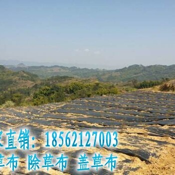 PE防草布成都價(jià)格起批
