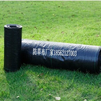 浙江防草布山東德州
