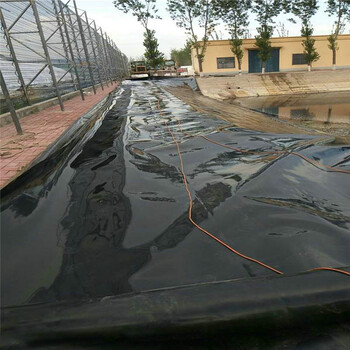 朝阳HDPE防水板防渗土工膜价格