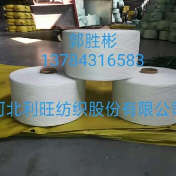 供應(yīng)滌綸紗氣流紡10支大化純滌紗
