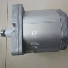迪普马DUPLOMATIC齿轮泵GP2-0095R00F/20N
