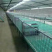 加厚仔猪保育床全复合保育床小猪保育床保育栏母猪产床定位栏