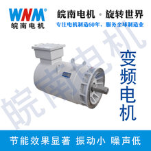 变频电机的试验与测量图片