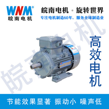 巢湖市皖南電機銷售處聯(lián)系方式