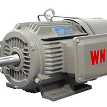 YE3/YX3-160~315铸铁机座多级泵系列电机