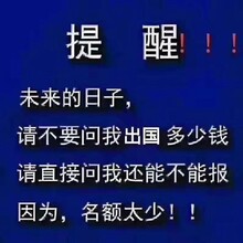 O欢迎办理出国劳务、新西兰、荷兰、高薪就业