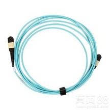 MPO光纤跳线IDC100G