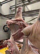 澳洲进口部位肉需要准备哪些资料呢？