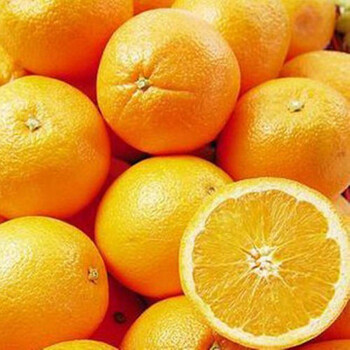 上海港西班牙橙子进口清关海运代理