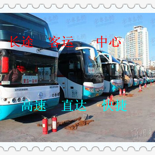 大巴车）潍坊到扬州的汽车（客车时刻表）155宠物运输