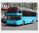 大巴车）潍坊到长兴的汽车（客车时刻表）155出行选择图片