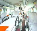 （客车）黄岛到玉环（营运客车票价）欢迎资讯图片