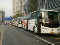 成都到濰坊客運汽車（寵物托運）多久能到圖片1