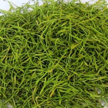福建嫁接山銀花苗價(jià)格