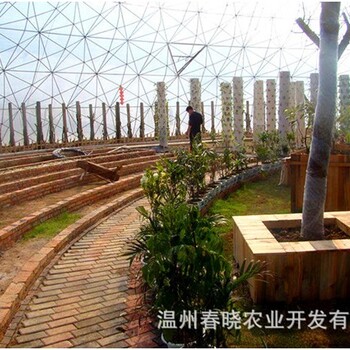 荆州实验温室大棚搭建安装