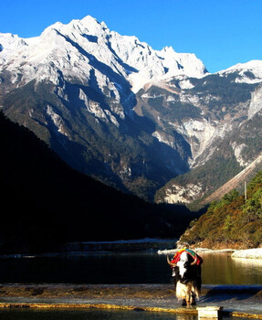 大理丽江玉龙雪山泸沽湖6天5晚游