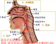 图片0