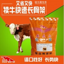育肥牛饲料产品~育肥架子牛用什么料