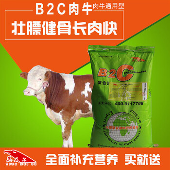 肉牛快速催費(fèi)飼料肉牛養(yǎng)殖技術(shù)肉牛催費(fèi)絕招
