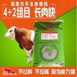 甘肃天水西门塔尔肉牛饲养牛的养殖技术育肥牛买卖育肥牛饲料配方表