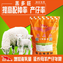农村养羊羊饲料母羊淘汰的方式方法!图片