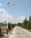 云南安宁农村太阳能路灯配置参数齐全价格优惠厂家直销