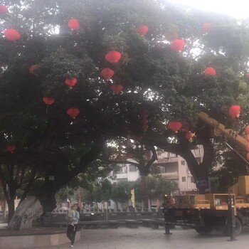 出租的升降臺剪叉式升降車高空作業(yè)平臺上下平穩(wěn)